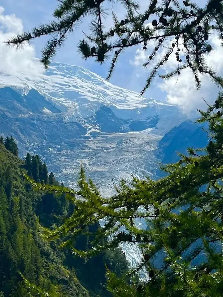Appart Centre Chamonix Grande Terrasse Mont Blanc 0*,